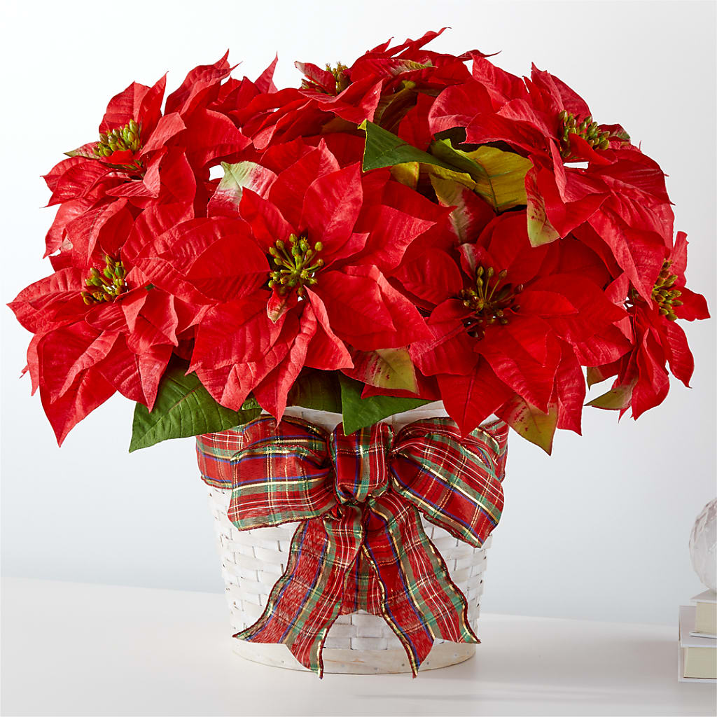 Happiest Holidays Poinsettia – Flowerland, Athol MA