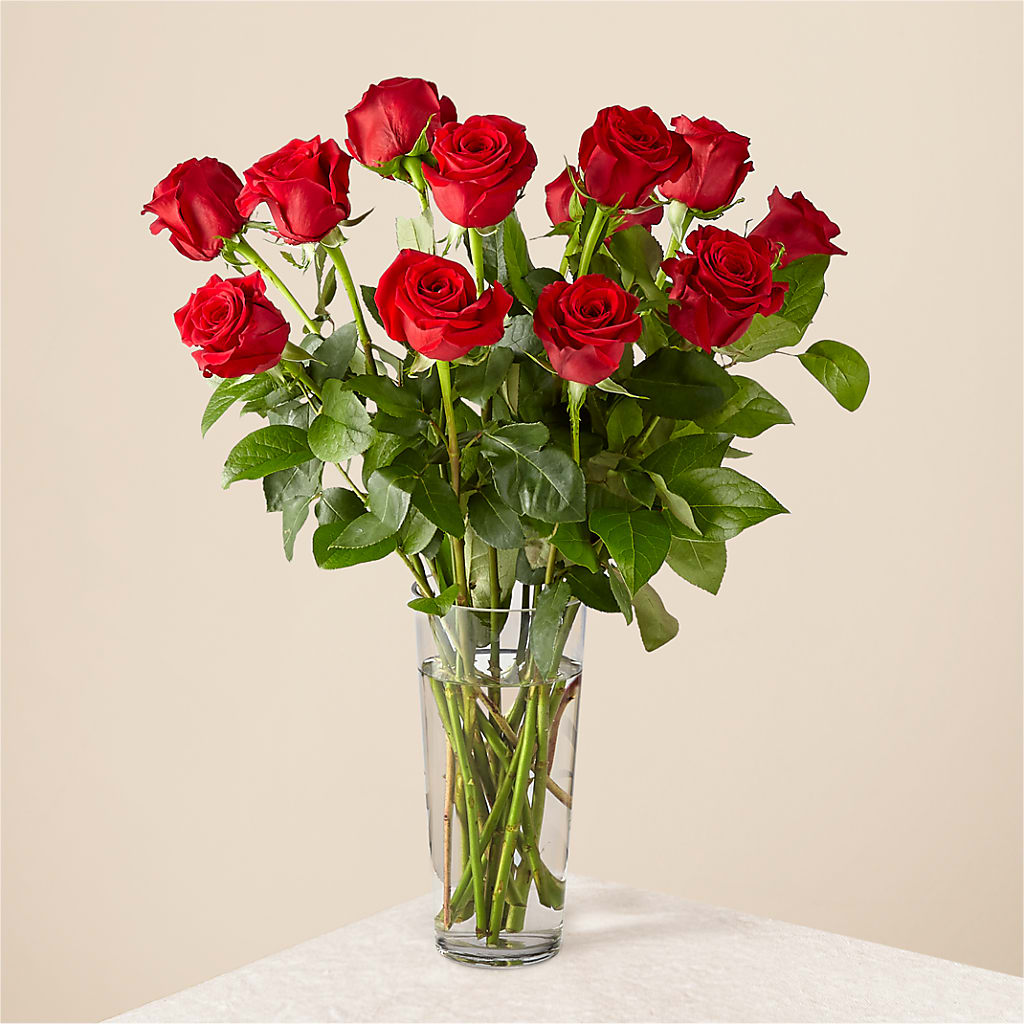 Long Stem Red Rose Bouquet – Flowerland, Athol MA