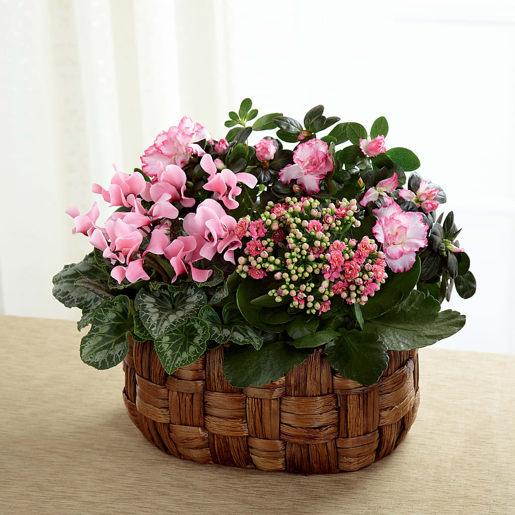 Pink Assortment – Flowerland, Athol MA