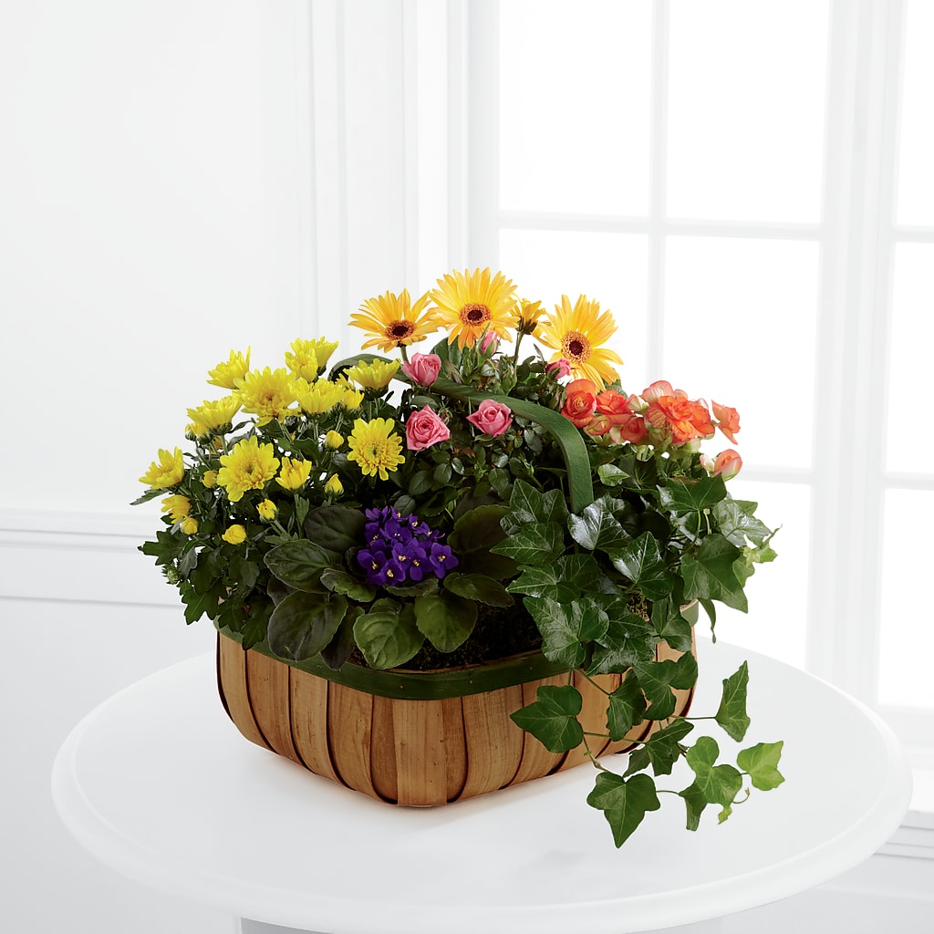 Gentle Blossoms Basket – Flowerland, Athol MA