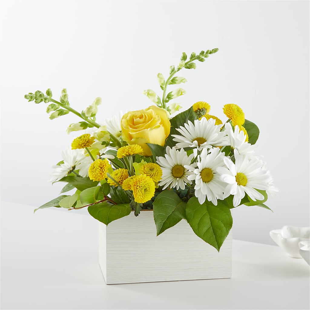 Sun Salutation Box Bouquet – Flowerland, Athol MA