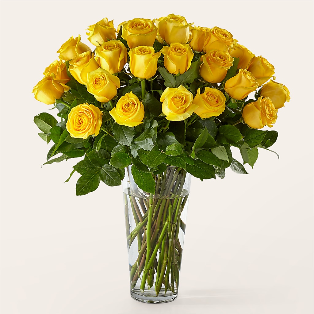 Long Stem Yellow Rose Bouquet – Flowerland, Athol MA