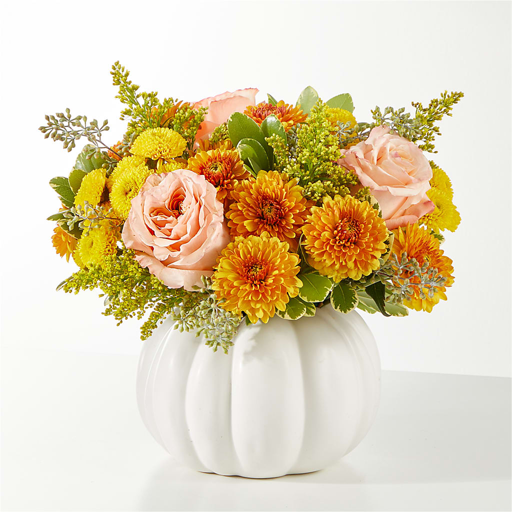Peachy Pumpkin – Flowerland, Athol MA