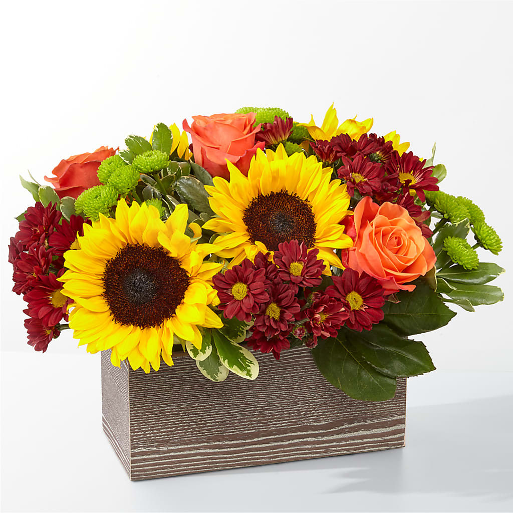 Happy Harvest Garden – Flowerland, Athol MA