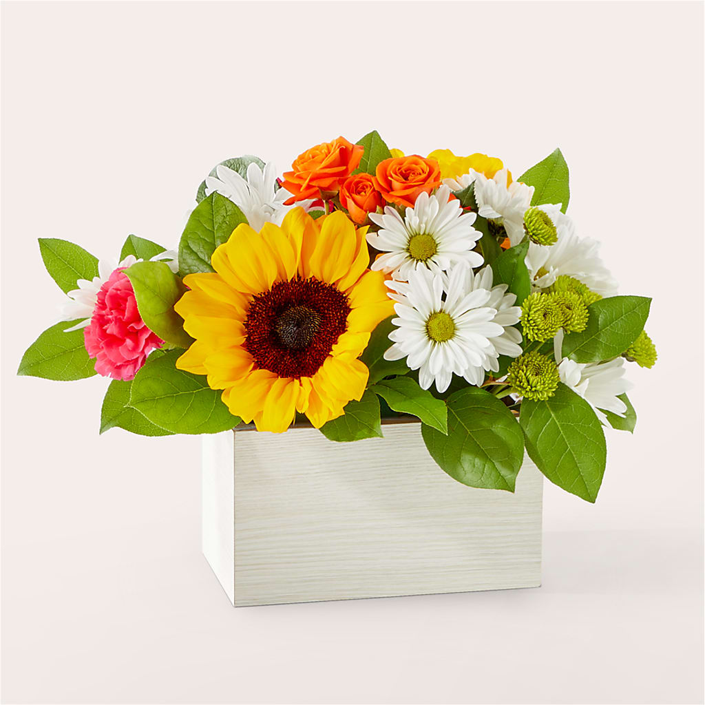 Sun-drenched Blooms Box Bouquet – Flowerland, Athol MA