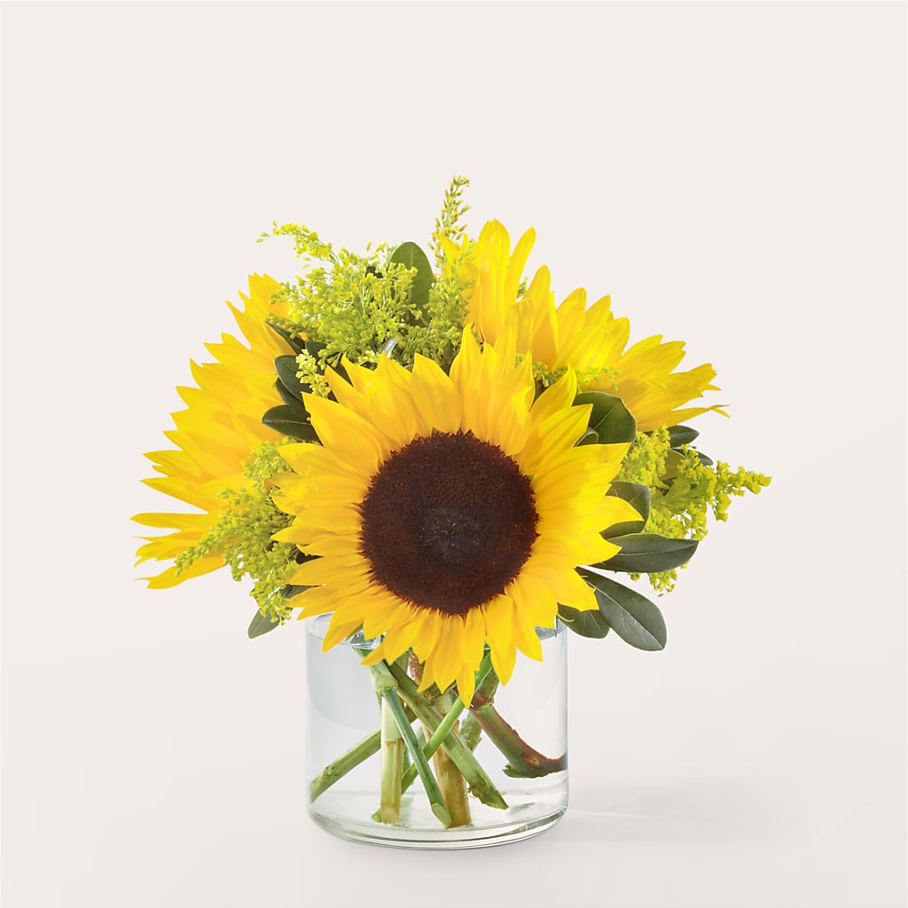 Beaming Sunflower Bouquet – Flowerland, Athol MA