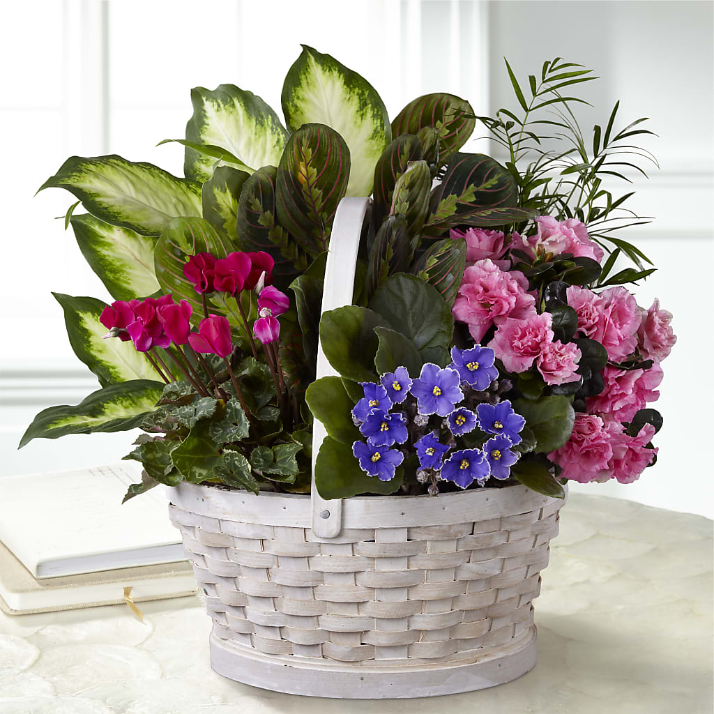 Peaceful Garden Planter – Flowerland, Athol MA