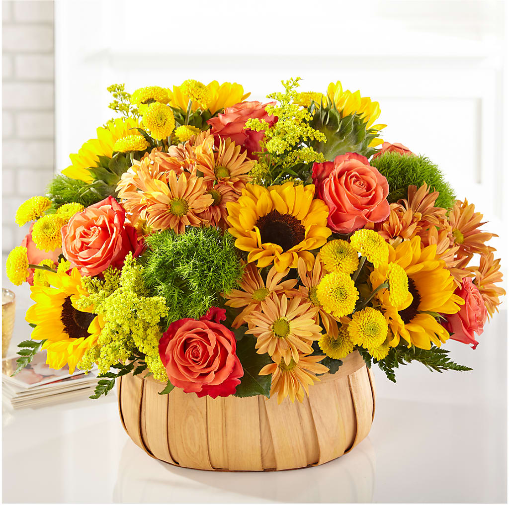 Harvest Sunflower Basket – Flowerland, Athol MA