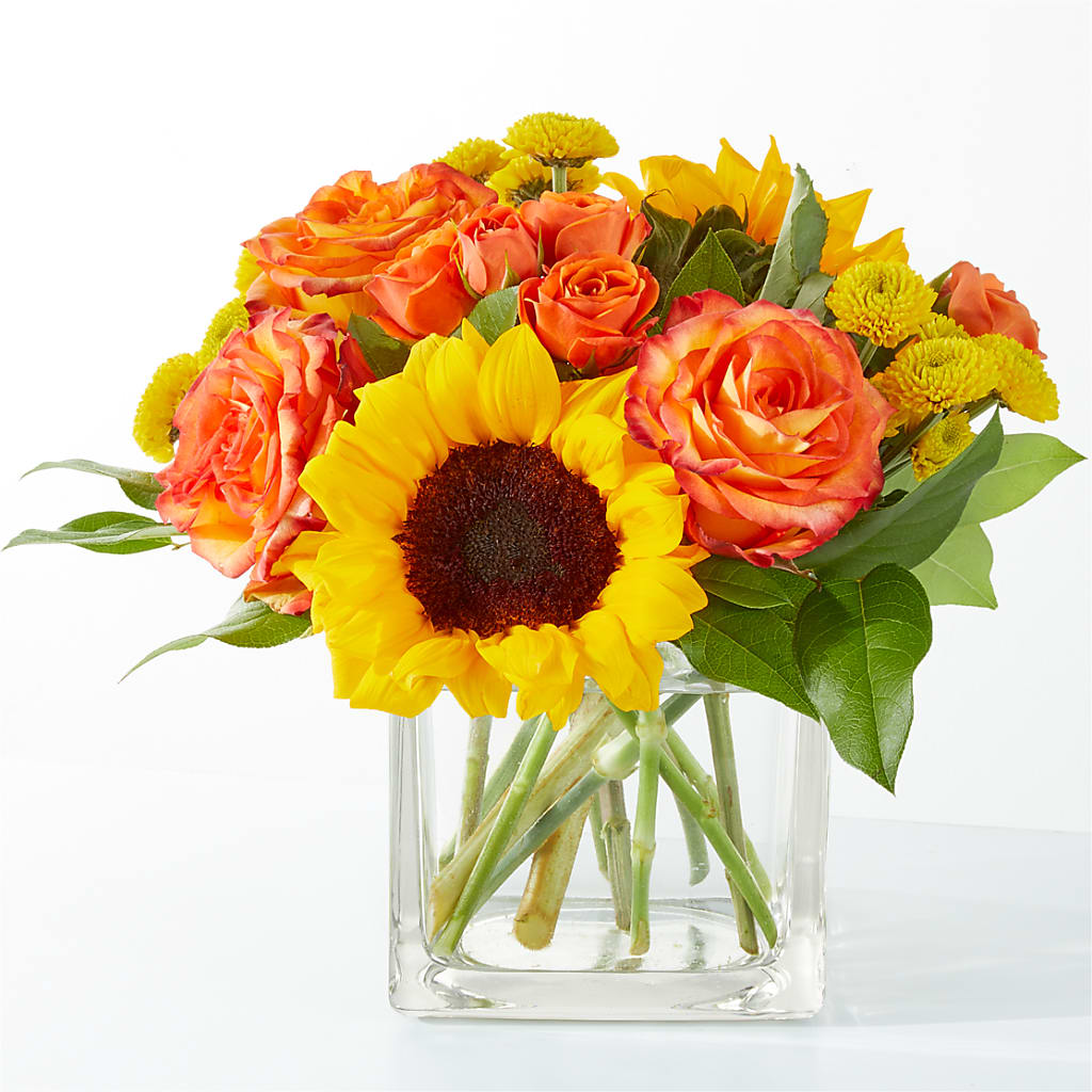 Picnic in the Park Bouquet – Flowerland, Athol MA