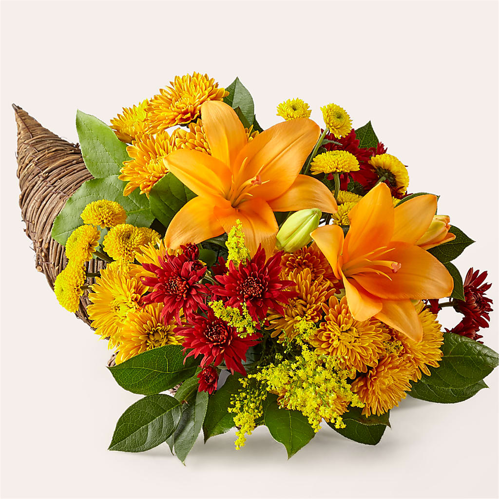 Feast of Color Cornucopia – Flowerland, Athol MA