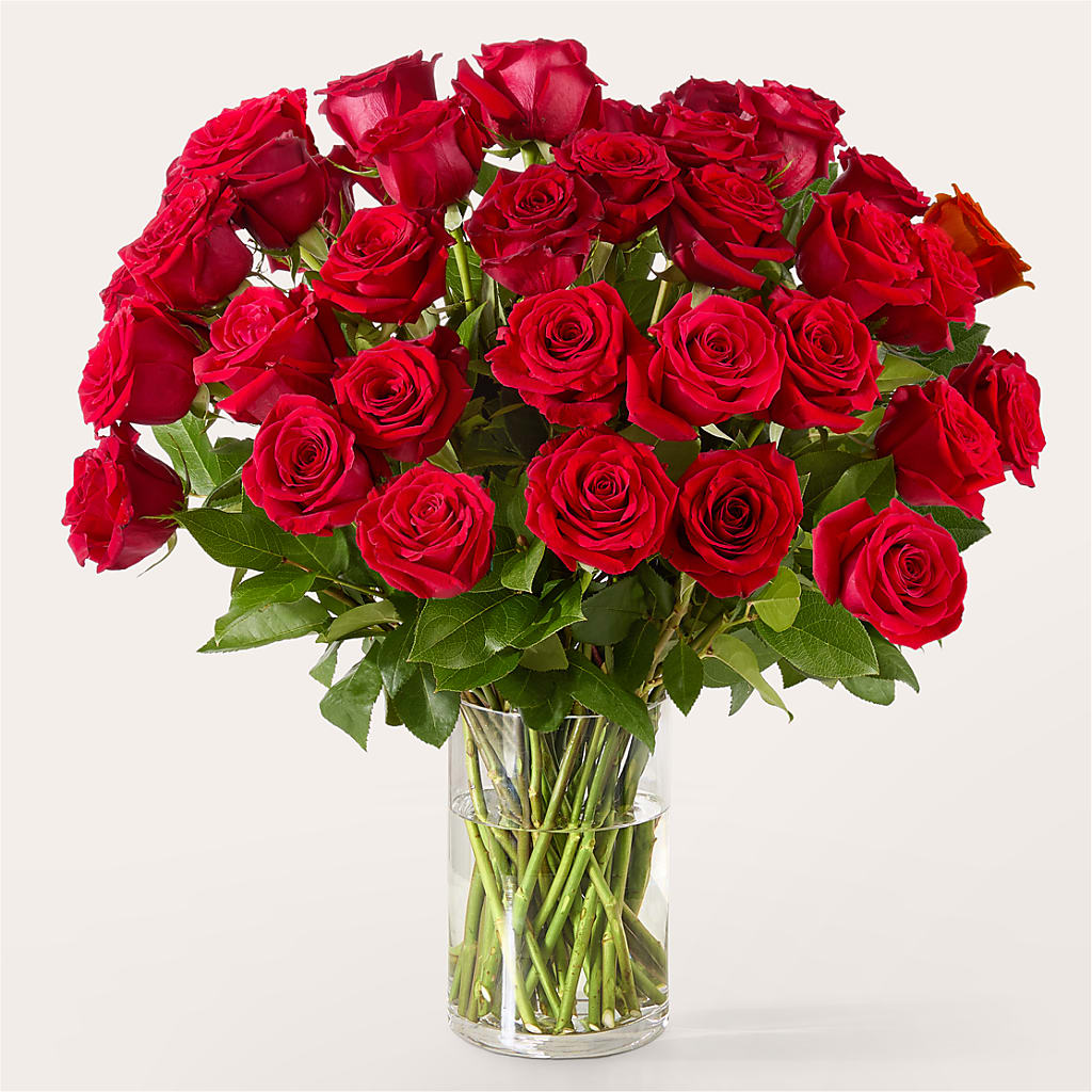 The One Red Rose Bouquet – Flowerland, Athol MA