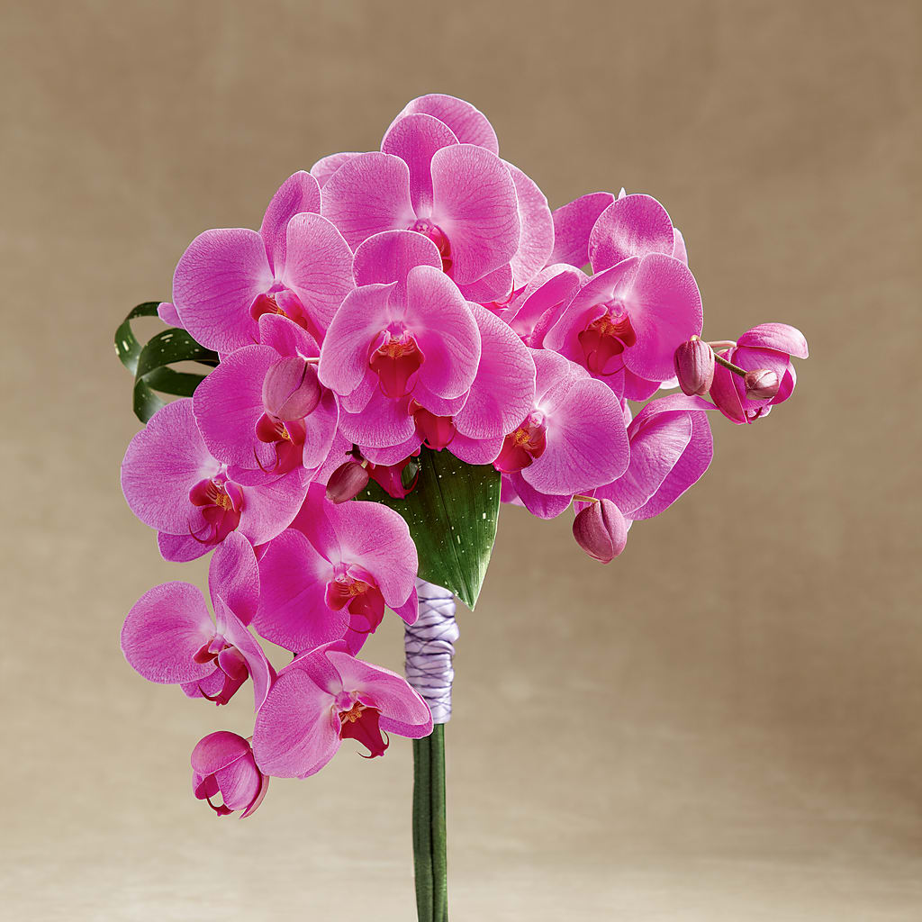 Glorious Bouquet – Flowerland, Athol MA