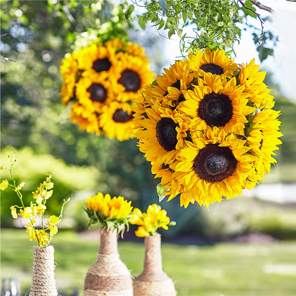 Sublime Garden Hanging Arrangement – Flowerland, Athol MA