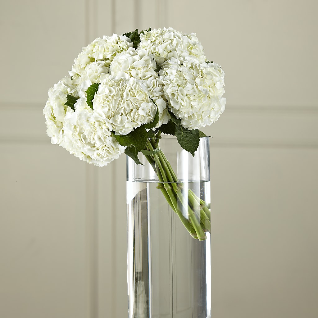 White Hydrangea Hand-Tied Bouquet – Flowerland, Athol MA