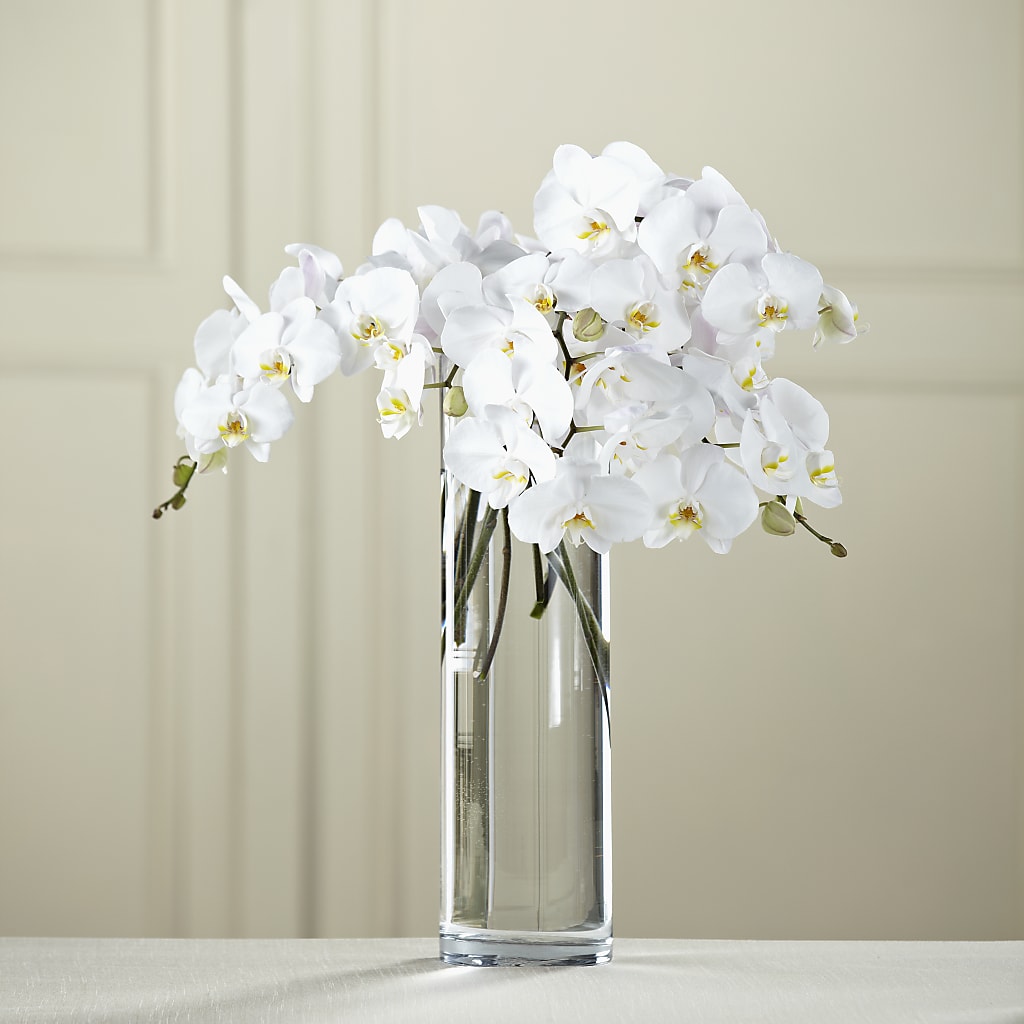 White Phalaenopsis Bouquet – Flowerland, Athol MA