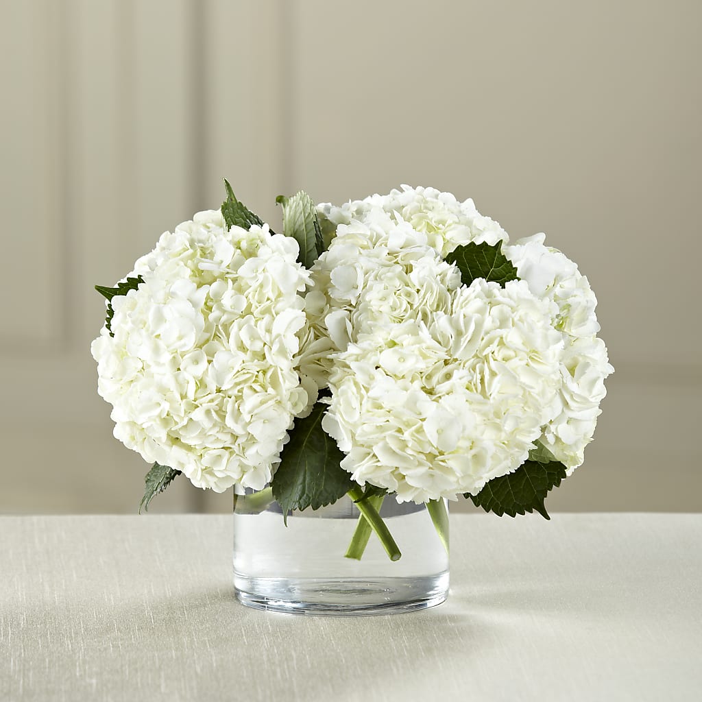 White Hydrangea Bouquet – Flowerland, Athol MA