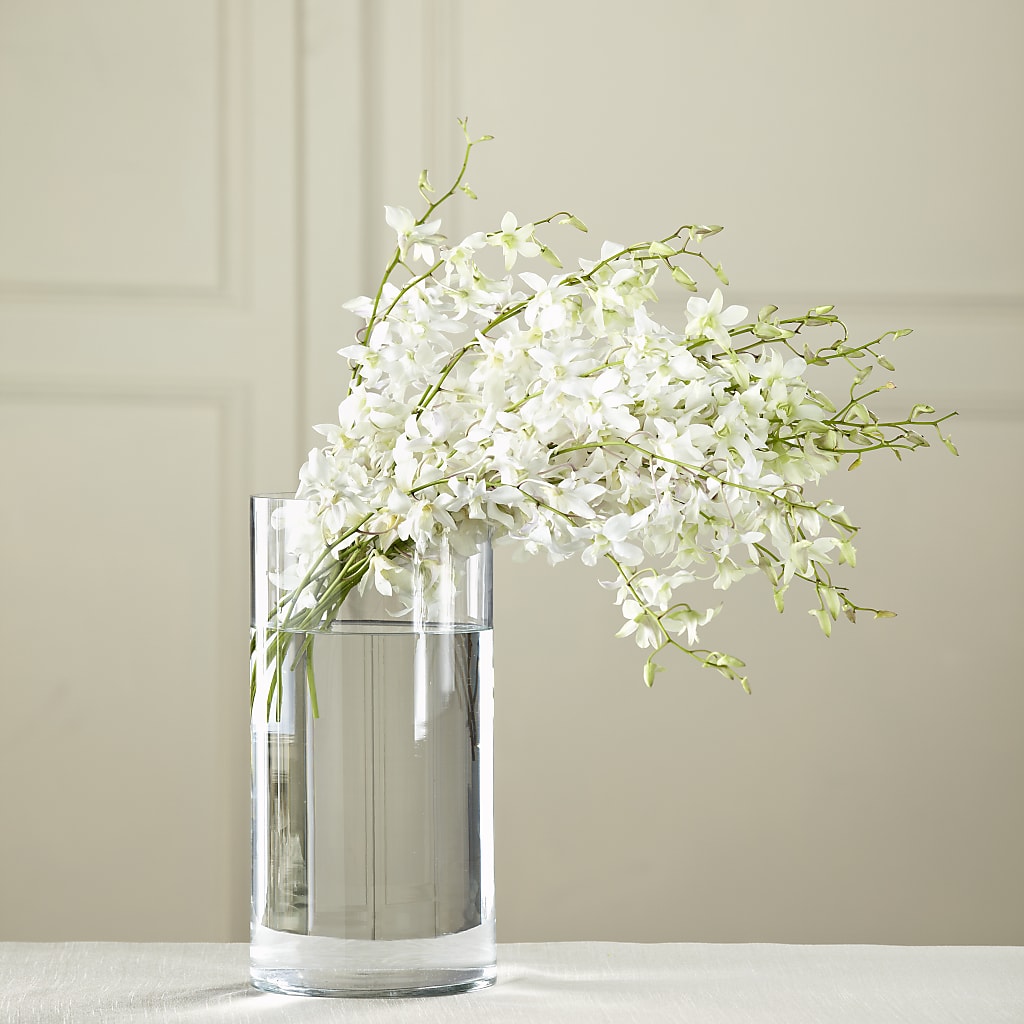 White Dendrobium Bouquet – Flowerland, Athol MA
