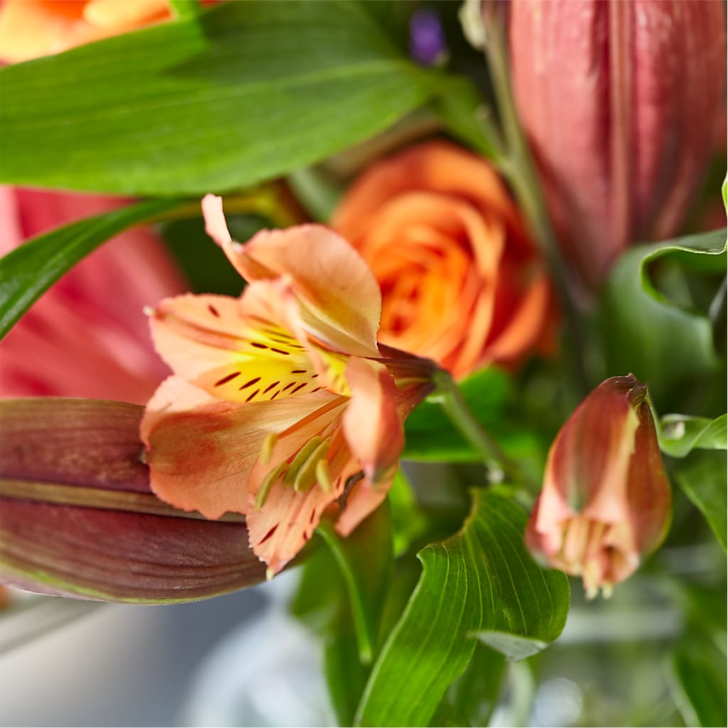 Bold & Bright – A Florist Original –  Flowerland, Athol MA