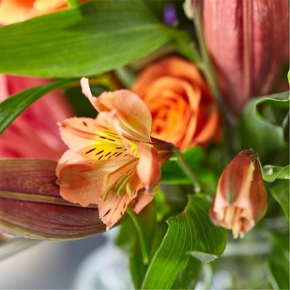 Bold & Bright – A Florist Original –  Flowerland, Athol MA