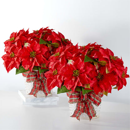 Happiest Holidays Poinsettia Bundle –  Flowerland, Athol MA