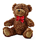 Adorable Plush Bear –  Flowerland, Athol MA