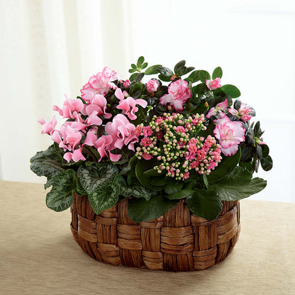 Pink Assortment –  Flowerland, Athol MA