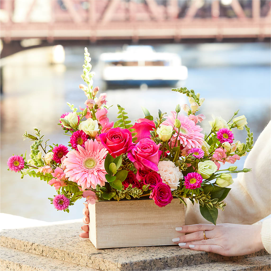 Too Cute Bouquet –  Flowerland, Athol MA
