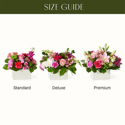 Sweetberry Box – A Florist Original –  Flowerland, Athol MA