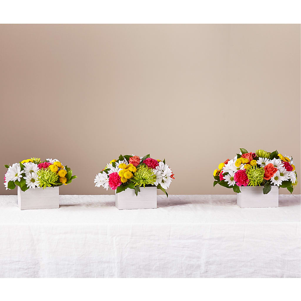 Sorbet Bouquet –  Flowerland, Athol MA