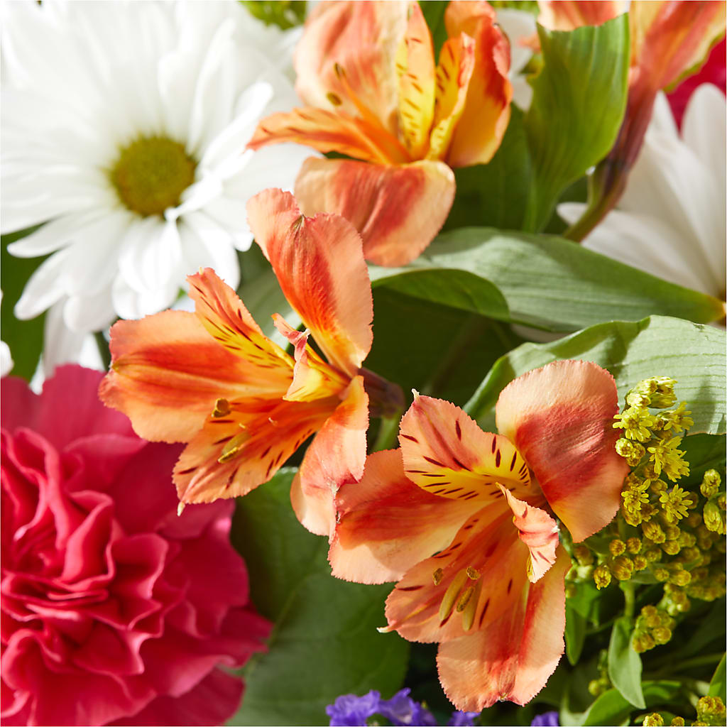 Oopsie Daisy Box Bouquet –  Flowerland, Athol MA