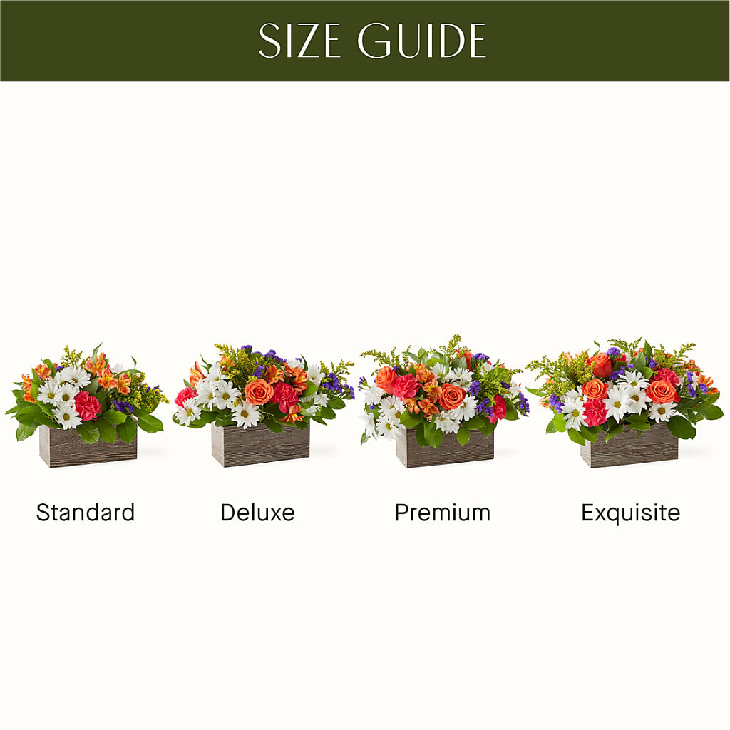 Oopsie Daisy Box Bouquet –  Flowerland, Athol MA