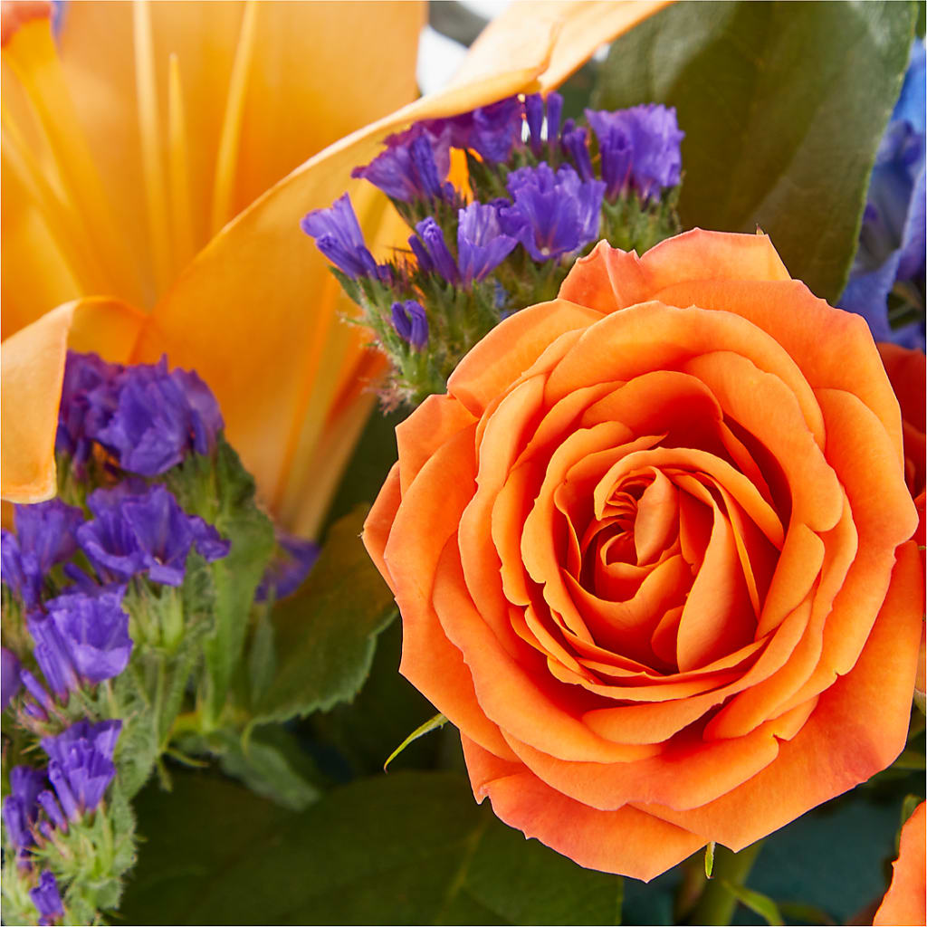 Radiant Citrus Box Bouquet –  Flowerland, Athol MA