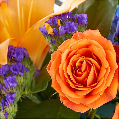 Radiant Citrus Box Bouquet –  Flowerland, Athol MA