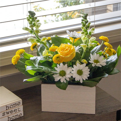 Sun Salutation Box Bouquet –  Flowerland, Athol MA
