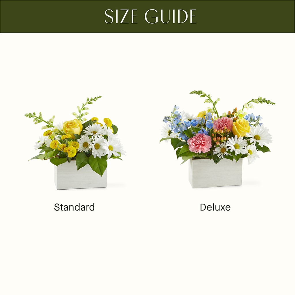 Sun Salutation Box Bouquet –  Flowerland, Athol MA