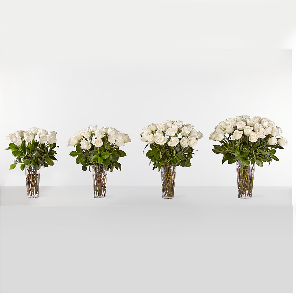 Long Stem White Rose Bouquet –  Flowerland, Athol MA