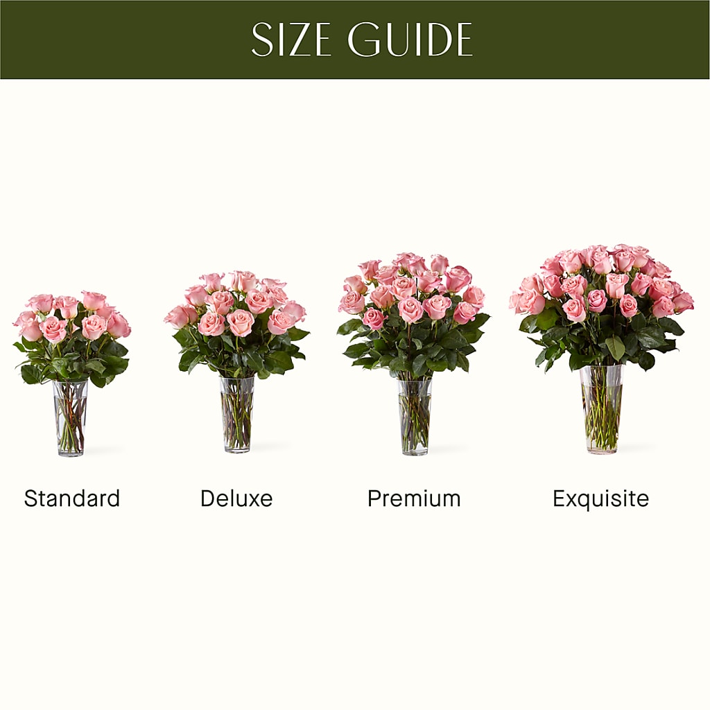 Long Stem Pink Rose Bouquet –  Flowerland, Athol MA