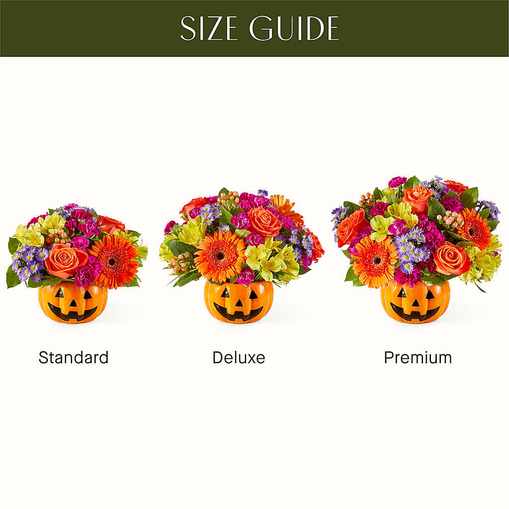 Tricks & Treats Pumpkin –  Flowerland, Athol MA