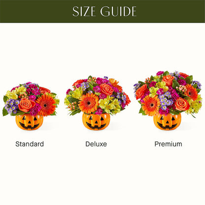 Tricks & Treats Pumpkin –  Flowerland, Athol MA