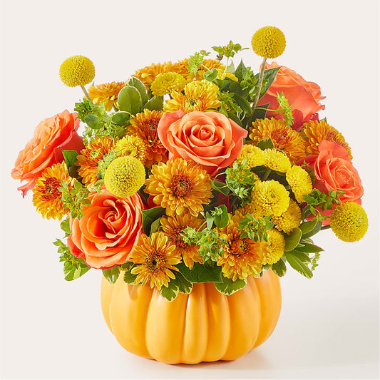 Gourdgeous Pumpkin –  Flowerland, Athol MA