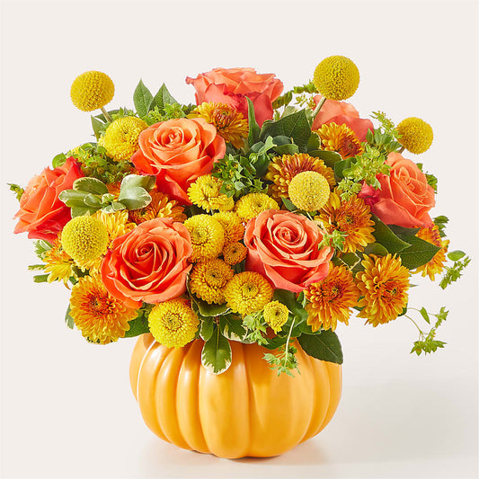 Gourdgeous Pumpkin –  Flowerland, Athol MA