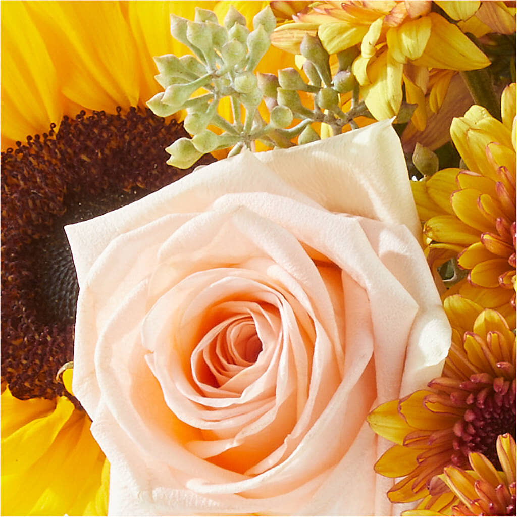 Pumpkin to Talk About Bouquet –  Flowerland, Athol MA