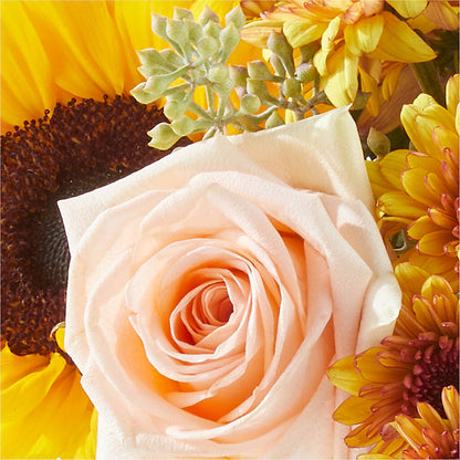 Pumpkin to Talk About Bouquet –  Flowerland, Athol MA