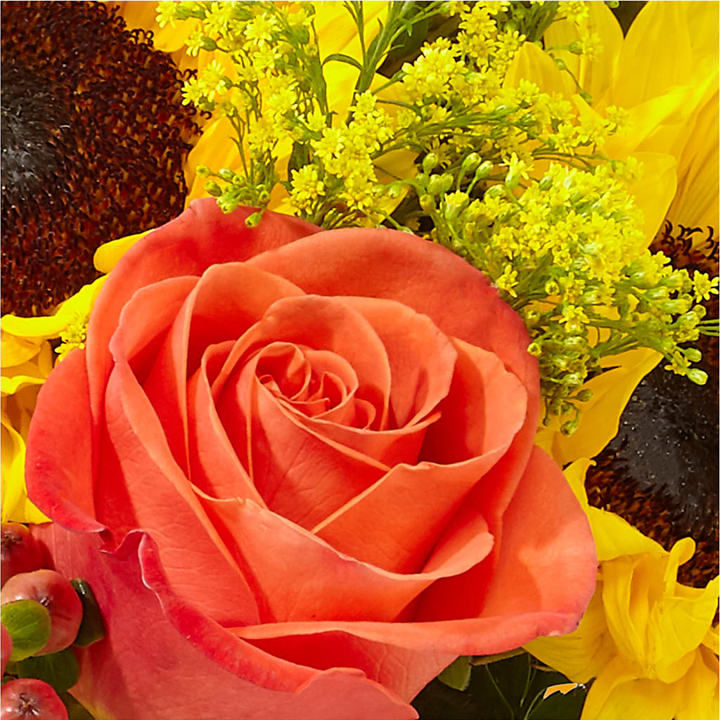 Pick of the Patch Pumpkin Bouquet –  Flowerland, Athol MA
