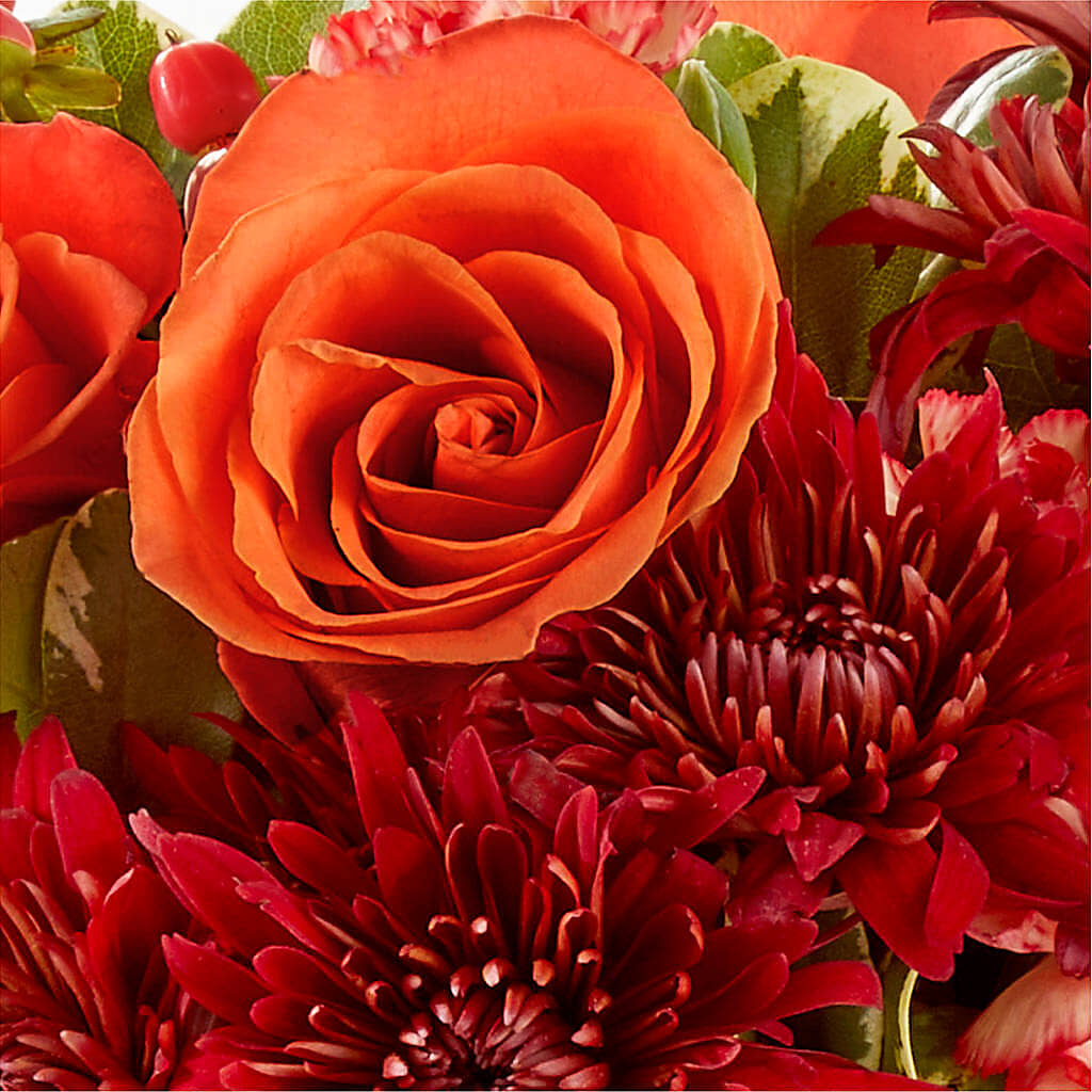 Autumn Air Pumpkin Bouquet –  Flowerland, Athol MA