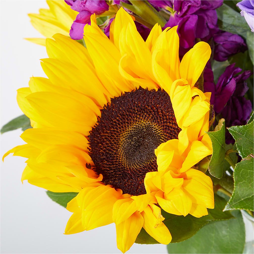 Catching Rays Bouquet –  Flowerland, Athol MA