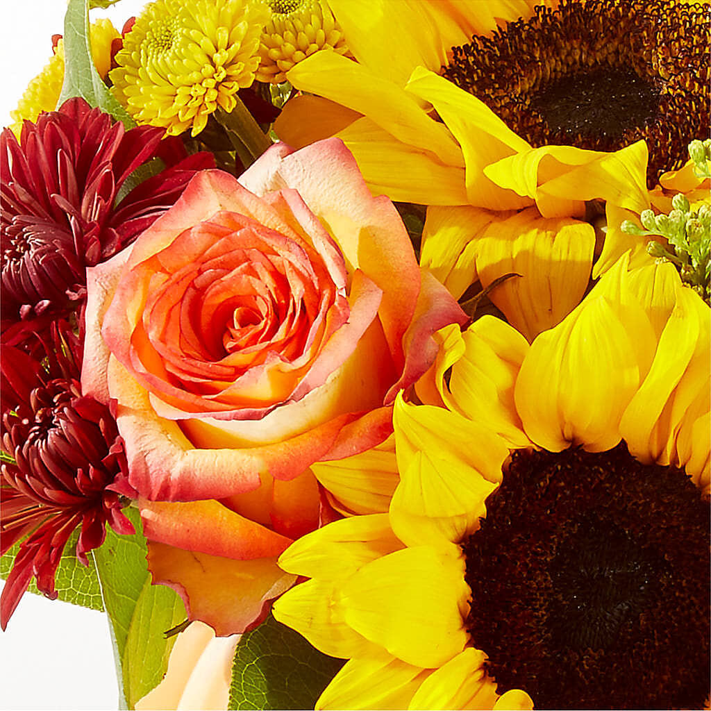Golden Gourd Pumpkin Bouquet –  Flowerland, Athol MA