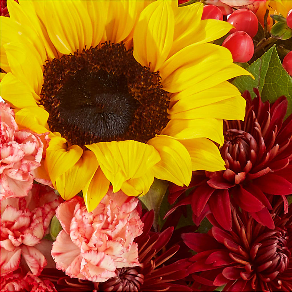 Fresh Cider Bouquet –  Flowerland, Athol MA