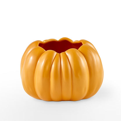 Pick of the Patch Pumpkin Bouquet –  Flowerland, Athol MA