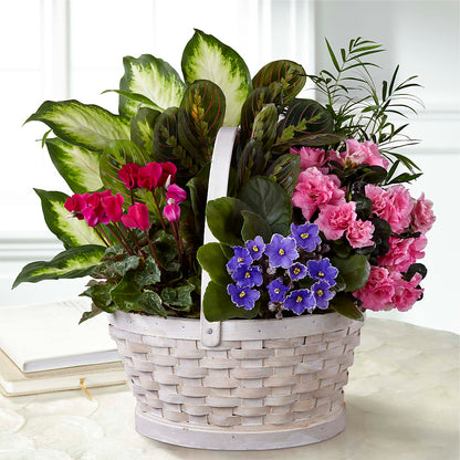 Peaceful Garden Planter –  Flowerland, Athol MA